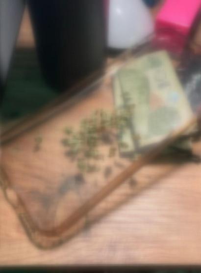 Minguzzi cinayeti davasında yeni gelişme Fotoğraflar silinen dosyalarda bulundu: Gülerek poz vermişler... 2 şüpheli hakkında 20 yıla kadar hapis istemi