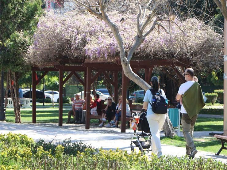 Terliyken Soğuk Su İçilmez, Dondurma Enfeksiyona Neden Olur Laflarını Unutun Meğer Yanlış Biliyormuşuz... Uzmanı Kışın Bile Dondurma Yiyebilirsiniz Dedi Ve Uyardı