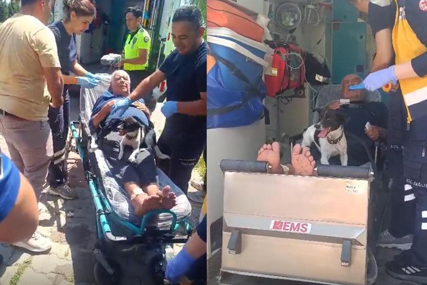 Köpeğin vefası herkesi duygulandırdı Yaralanan sahibini ambulansta da yalnız bırakmadı