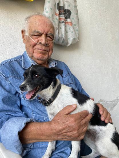 Köpeğin vefası herkesi duygulandırdı Yaralanan sahibini ambulansta da yalnız bırakmadı