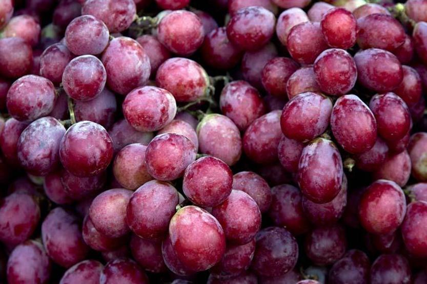 AVUÇ AVUÇ YİYORSUNUZ AMA VÜCUDU YAĞLANDIRIYOR Yazın En Çok Tüketilen Besinlerin Başında Geliyor Ama Dikkat Kan Şekerini Fırlatabilir