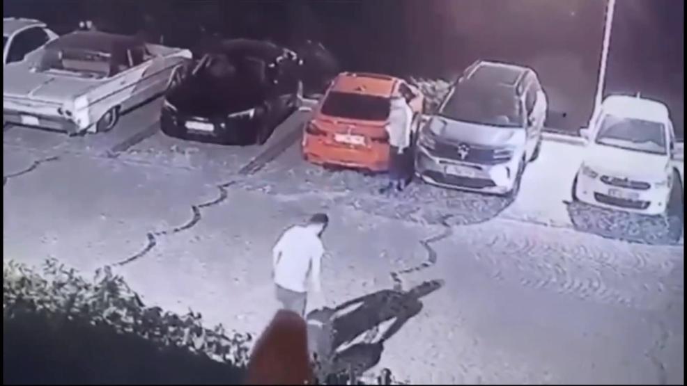 HABERLER... Ayşe Tokyaz cinayeti infial yarattı Caninin adım adım vahşet rotası