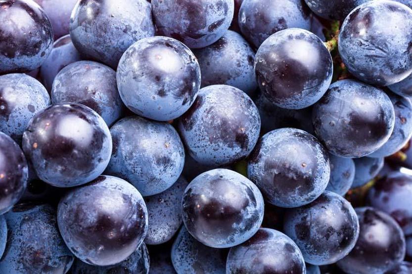 GENÇLEŞTİREN MEYVE C, K, B6 Vitamini, Mineral, Antioksidan Ne Ararsanız Var Kalp, Kilo, Kemik, Cilt... Faydası Say Say Bitmiyor Ancak Tüketirken DİKKAT