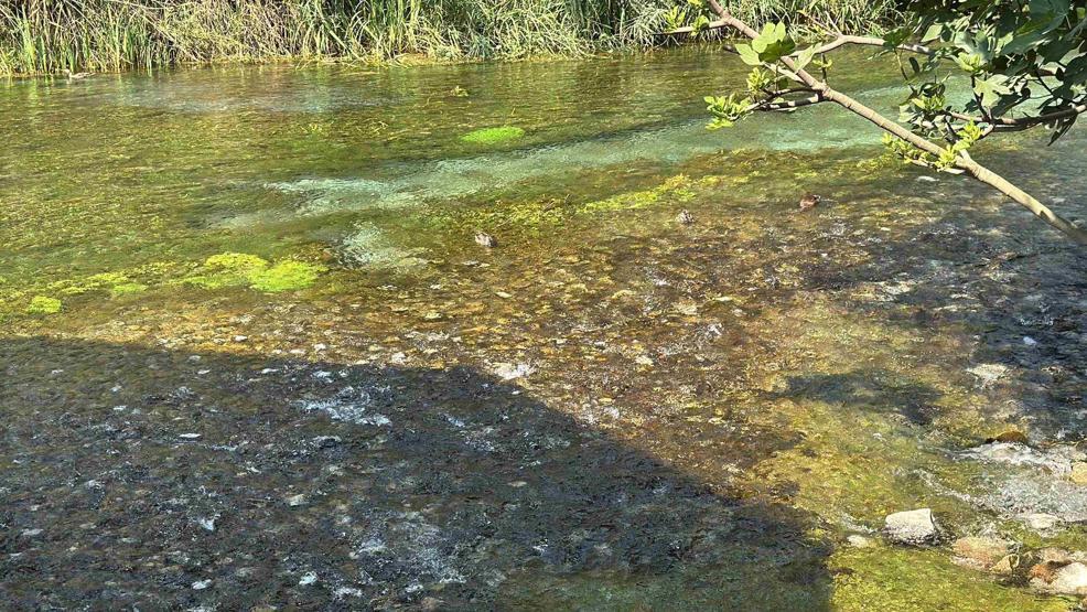 NASAnın Hayran Kaldığı Kadın Azmağı Alarm Veriyor Su seviyesi 35 santimetre düştü...