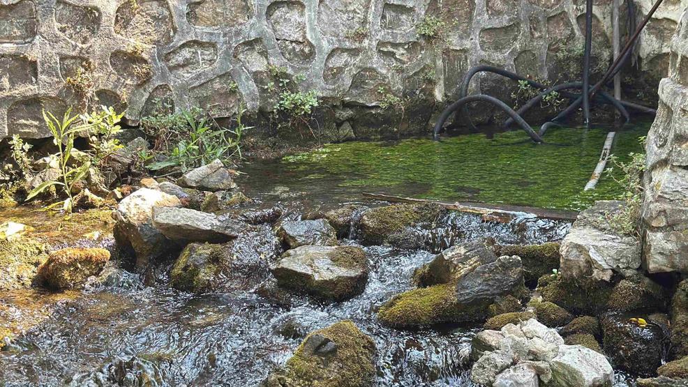 NASAnın Hayran Kaldığı Kadın Azmağı Alarm Veriyor Su seviyesi 35 santimetre düştü...