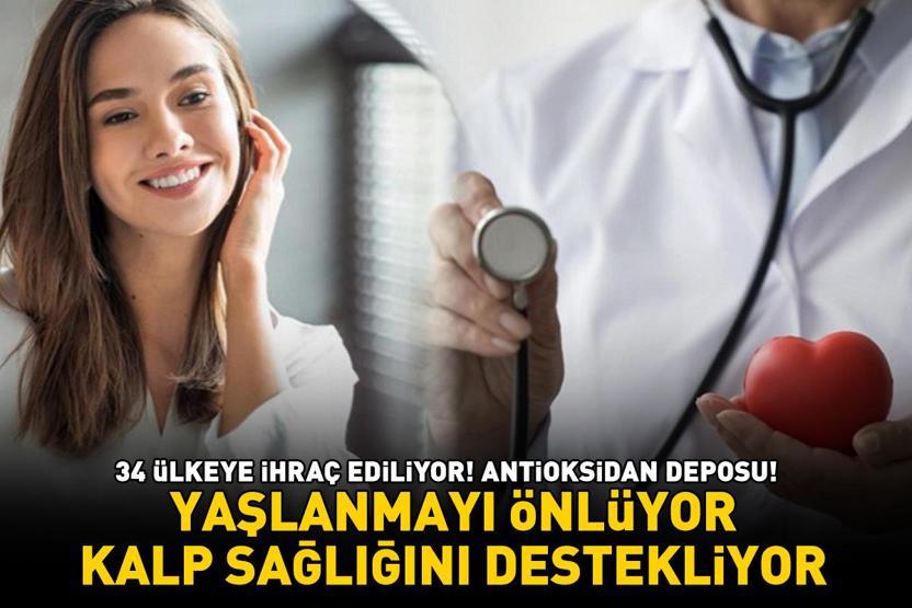Kilosu 110-120 TL 34 ülkeye ihraç ediliyor Beta-karoten, E vitamini ve polifenoller ile yaşlanmayı önlüyor, kalp sağlığını destekliyor