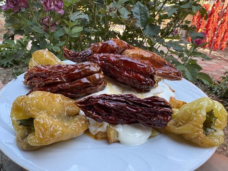 Ata Tohumundan Üretiliyor Tescilli Lezzet Kale Biberinin Sofralara Yolculuğu Başladı