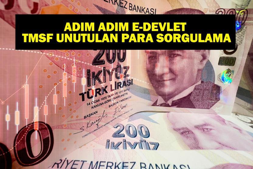 TMSF UNUTULAN PARA SORGULAMA: TMSF Unutulan Para Sorgulama Nasıl Yapılır Unutulan Para Geri Alınır Mı E-Devlet Üzerinden Adım Adım Rehber