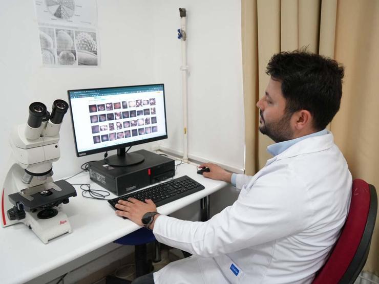 Kastamonuda, Rusyadan gelen polen tespit edildi: Polen alerjisi olanları ağustos ve eylül aylarında etkiliyor