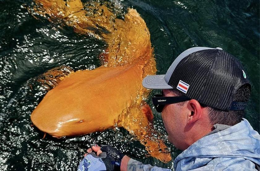 İnanılmaz keşif: Turuncu köpek balığı