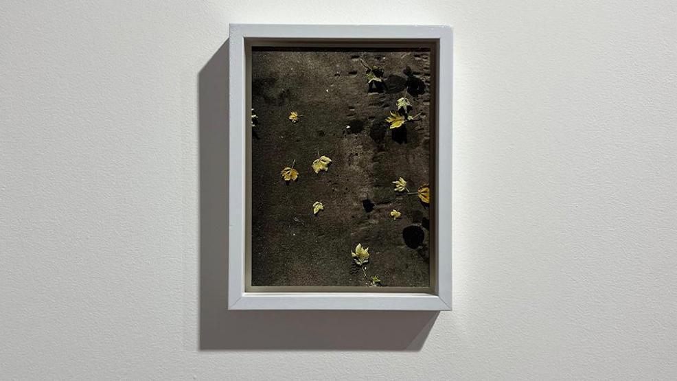 Vision Art Platform’dan Londrada sanat rüzgarı: What Will not Bend, Will Break