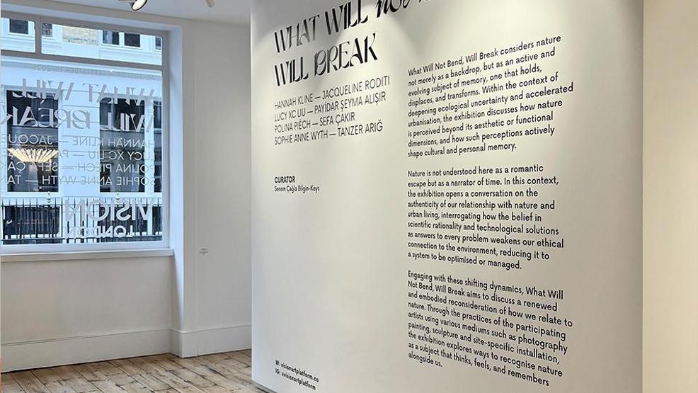 Vision Art Platform’dan Londrada sanat rüzgarı: What Will not Bend, Will Break