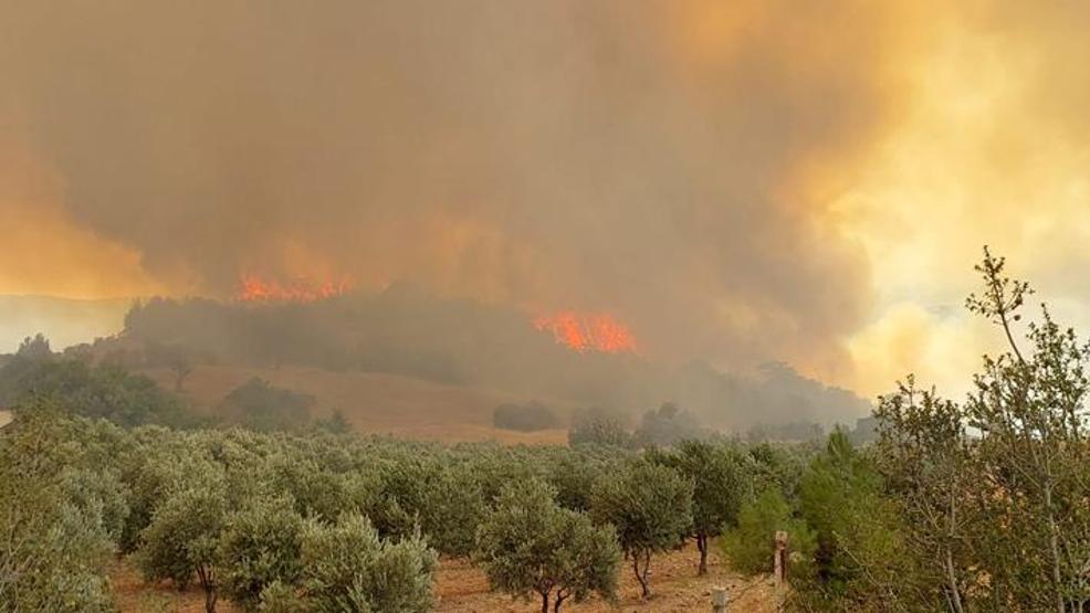 Denizlide orman yangını 2 mahalle boşaltıldı