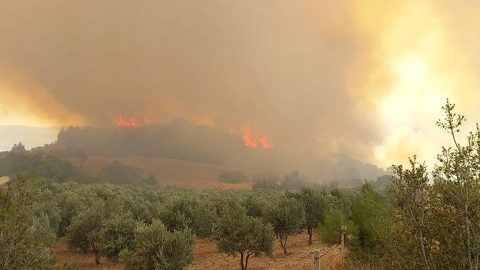 Denizlide orman yangını 2 mahalle boşaltıldı
