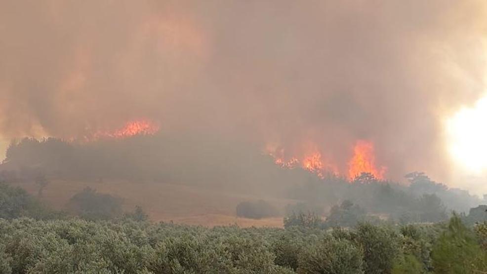 Denizlide orman yangını 2 mahalle boşaltıldı
