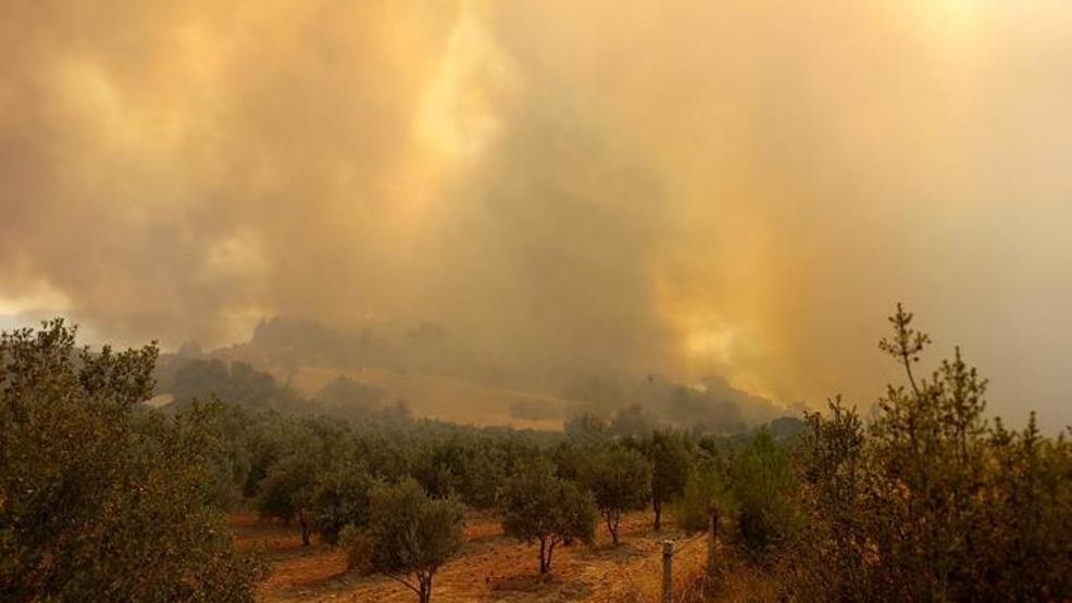 Denizlide orman yangını 2 mahalle boşaltıldı
