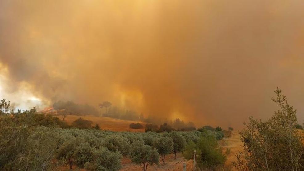 Denizlide orman yangını 2 mahalle boşaltıldı