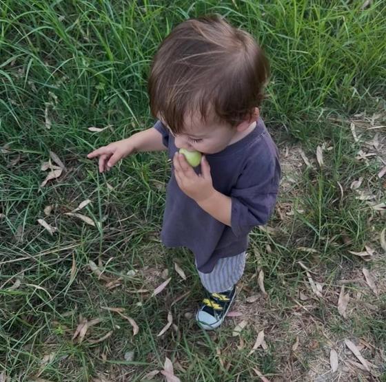 Setlere ara veren Kaan Urgancıoğlu oğluyla bahçeye girdi, hasat yaptı