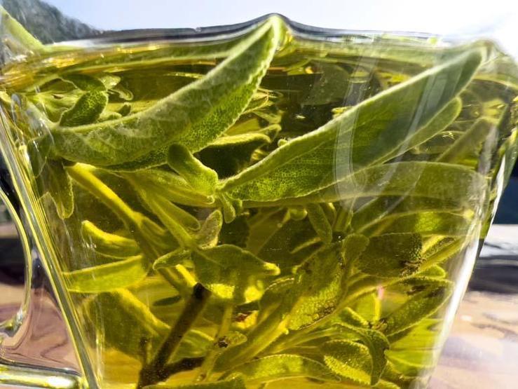 Alzheimerın Gizli Silahı Ortaya Çıktı Yaşlanan Beyin Hücrelerini Canlandırıyor