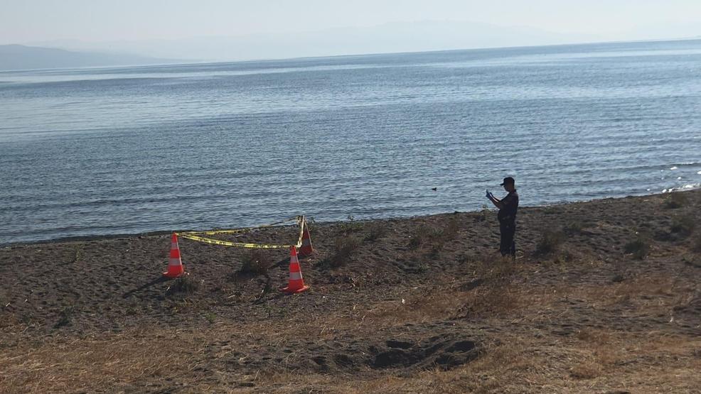 Vatandaşlar sahilde buldu Görünce şoke oldular: Hemen imha edildi...