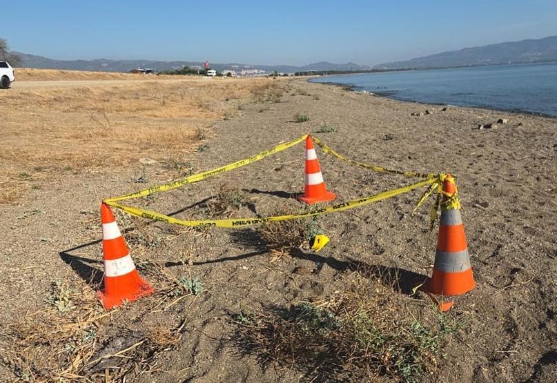 Vatandaşlar sahilde buldu Görünce şoke oldular: Hemen imha edildi...
