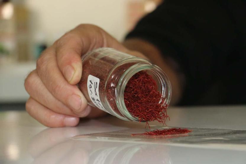 Kilosu 250 Bin Lira Ama Sahtesi Her Yerde Aman Dikkat Safran Diye Mısır Püskülü Yiyor Olabilirsiniz 26 Yıllık Aktardan Gerçek Safranı Anlamanın Tek ve En Kolay Yolu