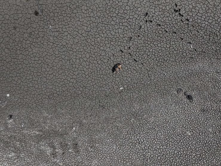 Olağanüstü tehlike Bursadan alarma geçiren görüntüler: Artık geri dönülemez bir noktaya geliyor