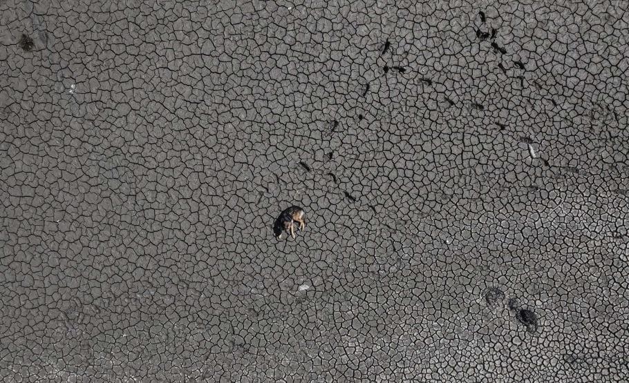 Olağanüstü tehlike Bursadan alarma geçiren görüntüler: Artık geri dönülemez bir noktaya geliyor