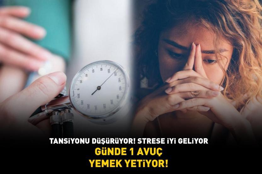 Günde 1 avuç yemek yetiyor Faydaları saymakla bitmiyor: Tansiyonu düşürüyor, strese iyi geliyor