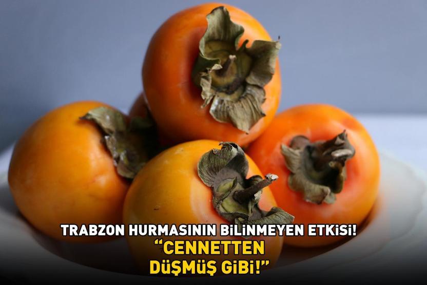 CENNETTEN DÜŞMÜŞ GİBİ Trabzon hurmasının bilinmeyen etkisi Kalp ve diyabet gibi kronik hastalıklar üzerinde kritik rol oynuyor