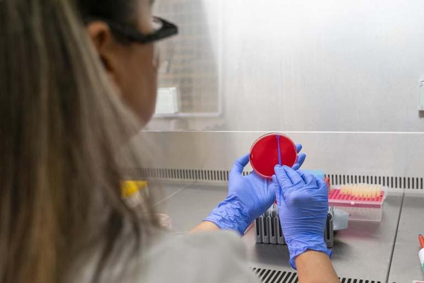 Her 5 Ölümden 1inin Sebebi: Sepsis (Kan Zehirlenmesi) Kan Zehirlenmesi Nedir, Neden Olur Kimler Risk Altında