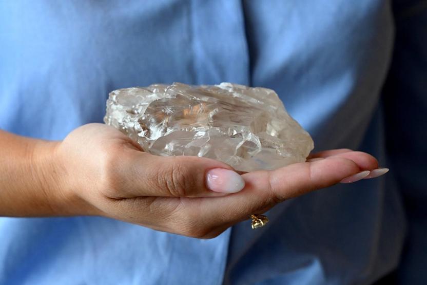 Dünyanın en büyük ikinci elması satışa çıkıyor: Rekor fiyat beklentisi