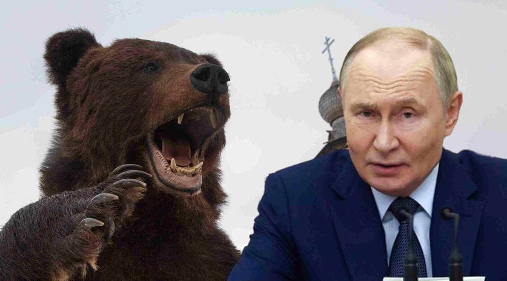 Rusya’dan Trump’a alaycı yanıt: Kaplan değil, ‘ayı’…