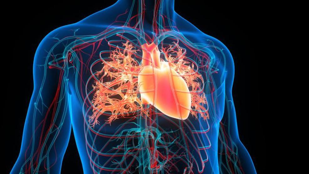 KALP HASTALIĞI RİSKİNİ AZALTAN 5 ALIŞKANLIK Kardiyovasküler ölümlerin en az yüzde 80’i yaşam tarzı değişiklikleriyle önlenebilir