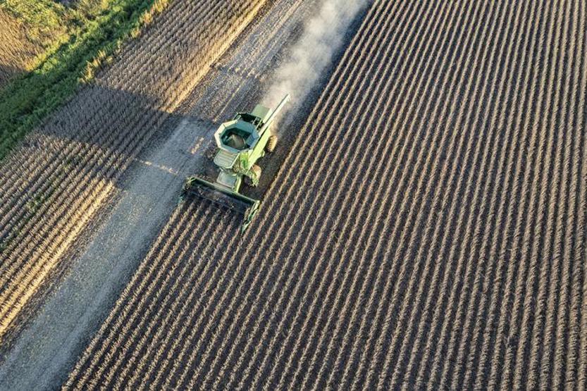 Trump-Şi görüşmesinin ana gündemi soya fasulyesi olacak
