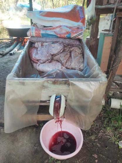 Geleneksel kokulu üzüm pekmezi kazanları kaynadı