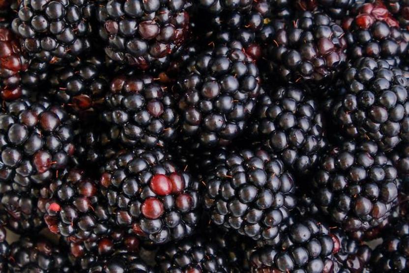 KOLAJEN DEPOSU 29 BESİN Botoks, Dolgu, Altın İğne... Hiçbirine Gerek Yok Kırışıklıkları Azaltıyor, Cildi Gençleştiriyor