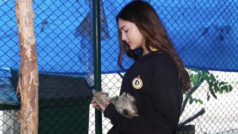 Demirören Medya ve Teknoloji MTAL Öğrencilerinden Sokak Hayvanlarına Anlamlı Destek