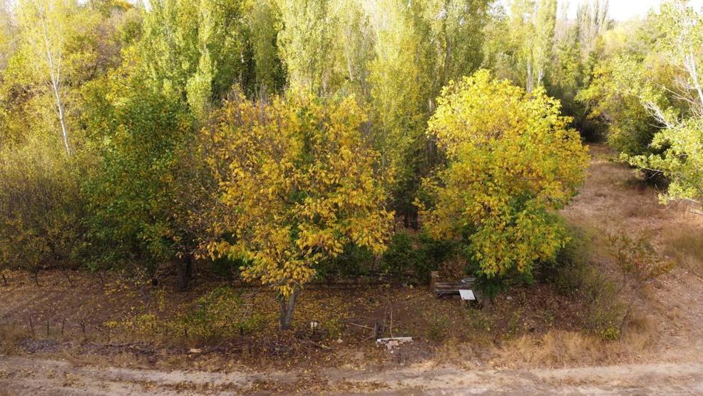 Doğa sonbaharla renklendi, kartpostallık manzara dronla görüntülendi