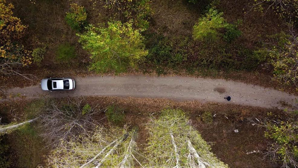 Doğa sonbaharla renklendi, kartpostallık manzara dronla görüntülendi