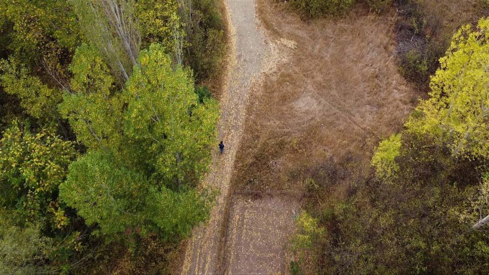 Doğa sonbaharla renklendi, kartpostallık manzara dronla görüntülendi