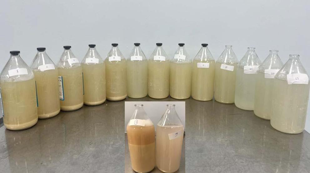 AKCİĞERDE 3 KRİTİK TEHLİKE ALARMI Yağ Birikmesi Sonucu Ortaya Çıkıyor, Öksüz Hastalıklar Olarak Biliniyor Nefes Aldıran Tedavi: Akciğer Yıkama Yöntemi Akciğer Yıkama Yöntemi Nedir, Nasıl Uygulanır