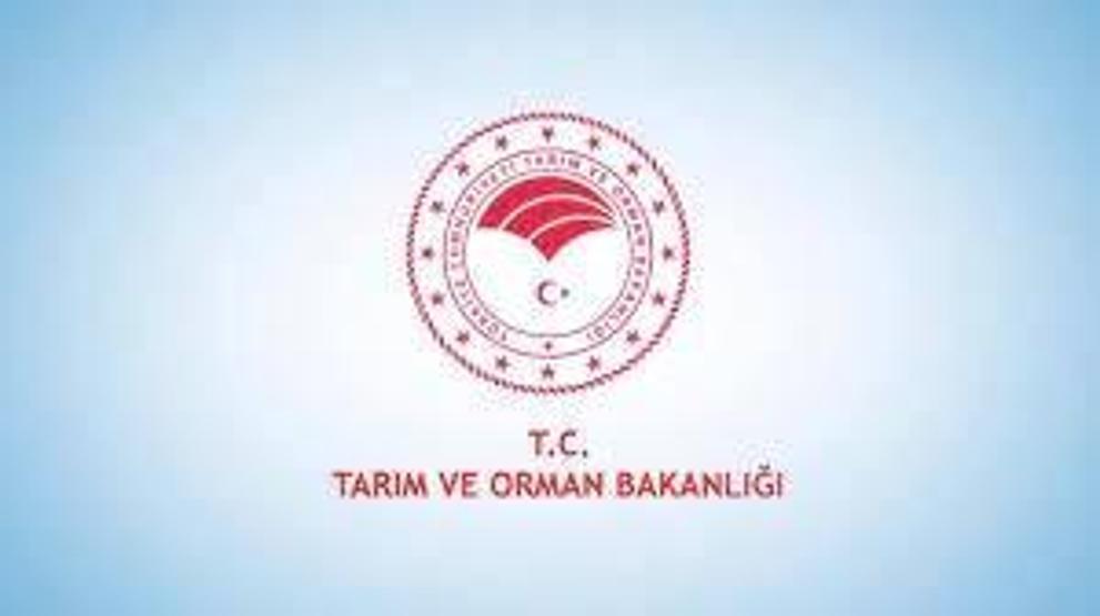 Tarım ve Orman Bakanlığı Personel Alımı 2025: Resmi Gazetede Yayımlandı Tarım ve Orman Bakanlığı Personel Alımı Ne Zaman, Başvuru Şartları Neler