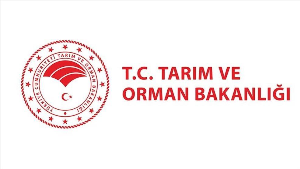 Tarım ve Orman Bakanlığı Personel Alımı 2025: Resmi Gazetede Yayımlandı Tarım ve Orman Bakanlığı Personel Alımı Ne Zaman, Başvuru Şartları Neler