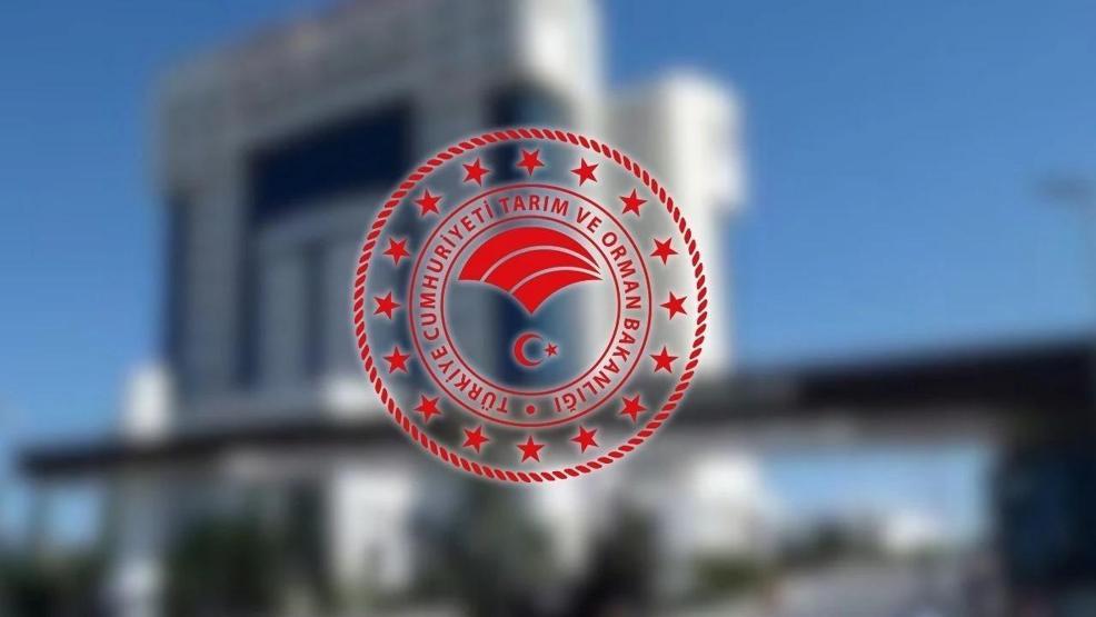 Tarım ve Orman Bakanlığı Personel Alımı 2025: Resmi Gazetede Yayımlandı Tarım ve Orman Bakanlığı Personel Alımı Ne Zaman, Başvuru Şartları Neler