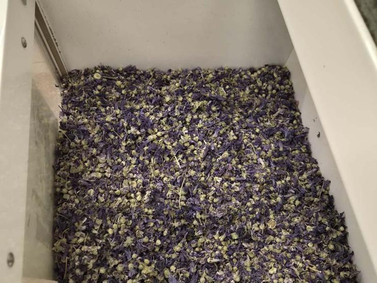 Kışın favorisi: Zencefil, propolisli macun, kara mürver ve karadut pekmezleri