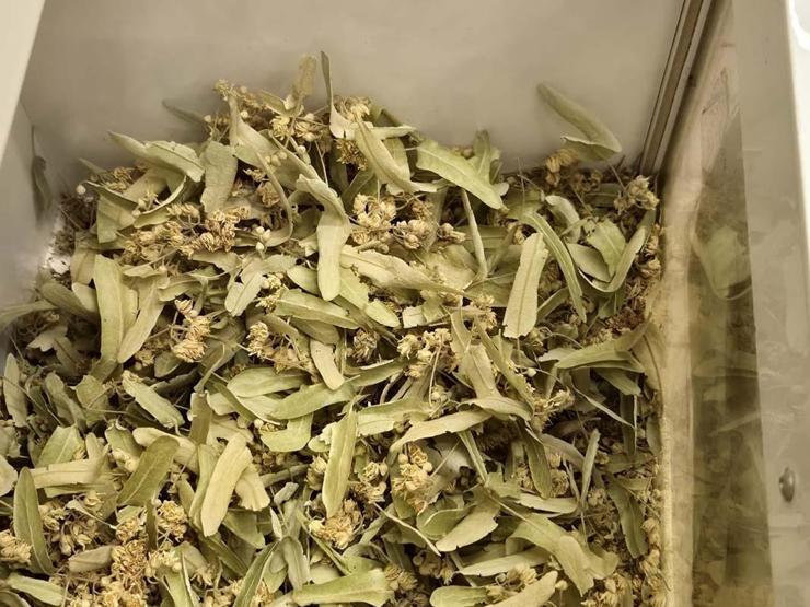 Kışın favorisi: Zencefil, propolisli macun, kara mürver ve karadut pekmezleri