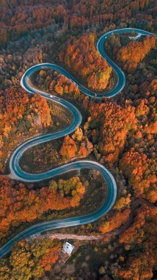 Domaniç Dağlarına uzanan kıvrımlı yollarda sonbahar manzarası
