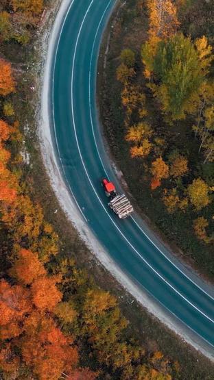 Domaniç Dağlarına uzanan kıvrımlı yollarda sonbahar manzarası