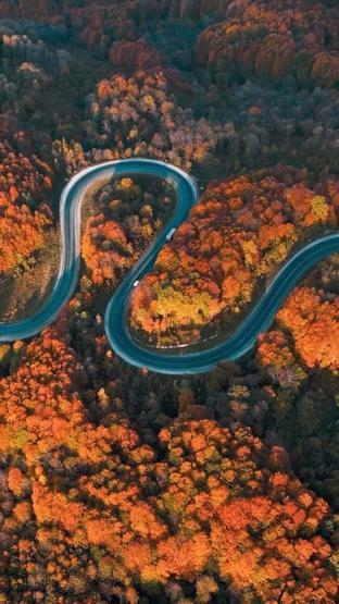 Domaniç Dağlarına uzanan kıvrımlı yollarda sonbahar manzarası